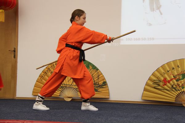1494828624124929.jpg 我校孔子学院玛拉表演《少林阴手棍》_副本.jpg